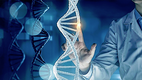  Các nhà nghiên cứu phát hiện 25 triệu biến dị sau khi giải trình tự gene ở người Kinh. Ảnh: DNAtix.