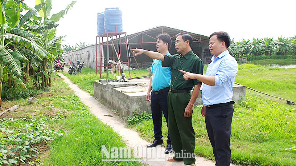 Mô hình kinh tế vườn - ao - chuồng của gia đình ông Phạm Văn Đưởng, xã Xuân Thủy cho hiệu quả kinh tế cao.
