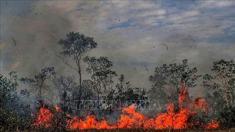 Khói lửa bốc lên tại đám cháy rừng ở Manicore, bang Amazonas, Brazil ngày 26/8/2019. Ảnh: THX/TTXVN