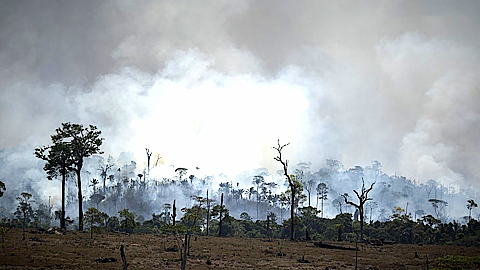 Hoạt động đốt rừng lấy đất canh tác được cho là nguyên nhân bùng phát cháy rừng Amazon trên diện rộng (Ảnh: AP)
