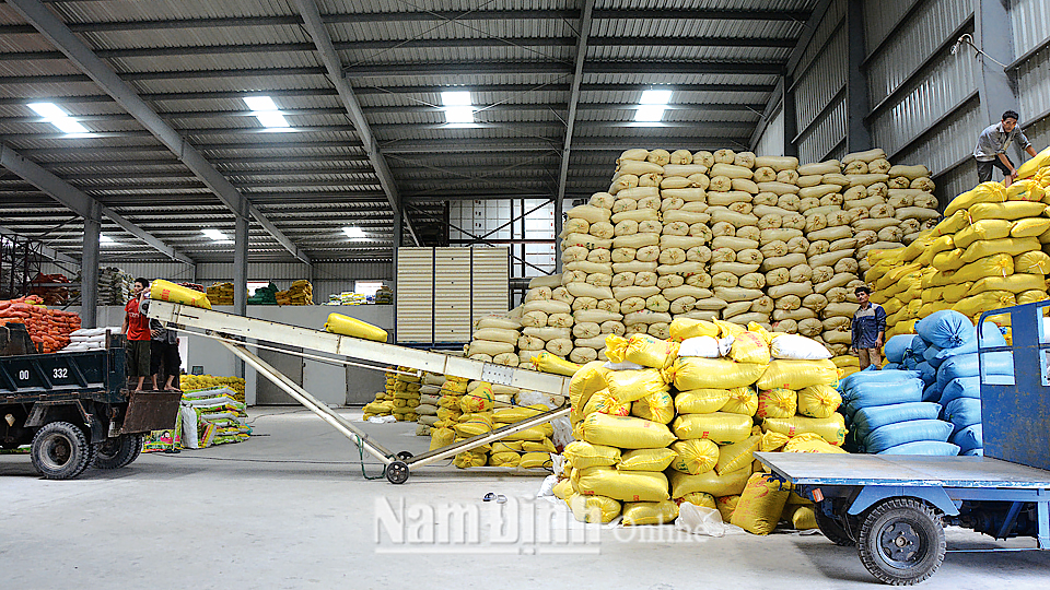 Công ty Trách nhiệm hữu hạn Cường Tân đầu tư thiết bị, kho lớn phục vụ sản xuất gạo theo chuỗi liên kết.