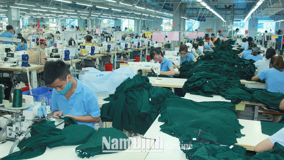 Sản xuất tại Công ty Trách nhiệm hữu hạn Lakeland Việt Nam, xã Xuân Trung (Xuân Trường).
