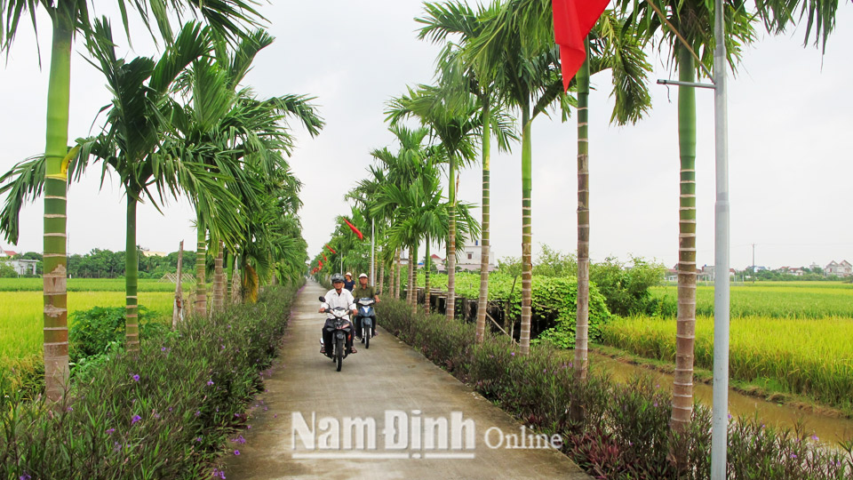 Đường xóm theo chuẩn khu dân cư nông thôn mới nâng cao tại xã Thọ Nghiệp.  Bài và ảnh: Nguyễn Hương