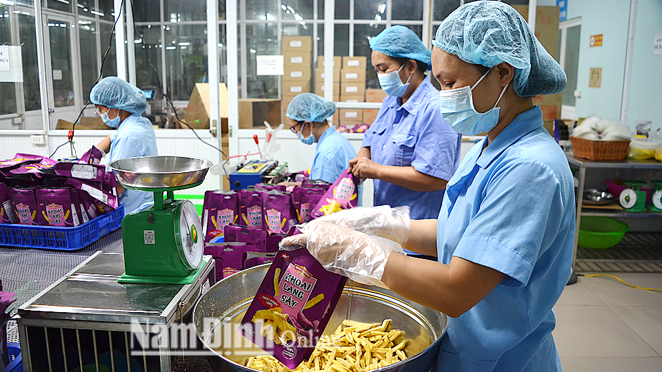 Từ nguồn vốn của Agribank Bắc Nam Định, Công ty Trách nhiệm hữu hạn một thành viên Minh Dương tại Cụm công nghiệp An Xá (thành phố Nam Định) đã đầu tư dây chuyền sấy nông sản, nâng cao chất lượng sản phẩm đạt tiêu chuẩn OCOP 4 sao.