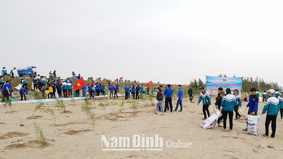 Đoàn viên, thanh niên huyện Nghĩa Hưng tham gia vệ sinh môi trường biển.  Ảnh: Do cơ sở cung cấp