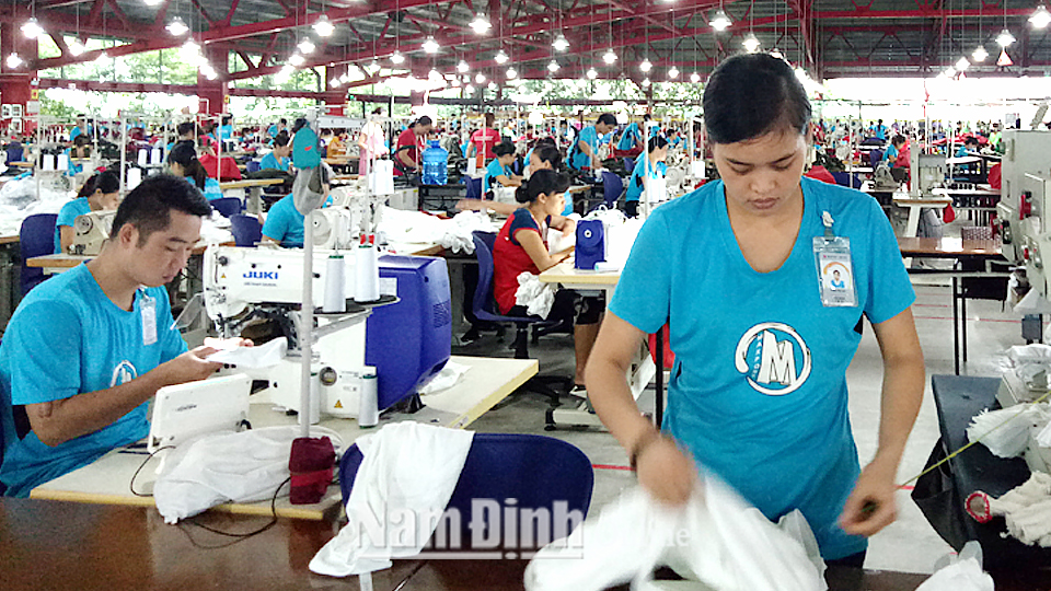 Sản xuất sản phẩm may xuất khẩu tại Công ty MAXPORT LIMITED Việt Nam, Chi nhánh Nam Định.