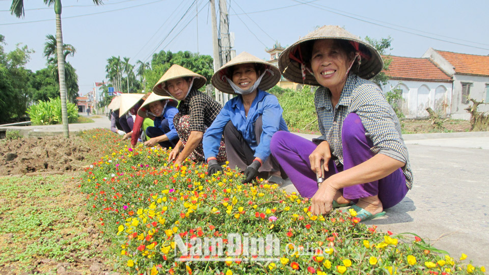 Hội viên chi Hội Phụ nữ xóm 9, Phú Văn Nam chăm sóc đường hoa.
