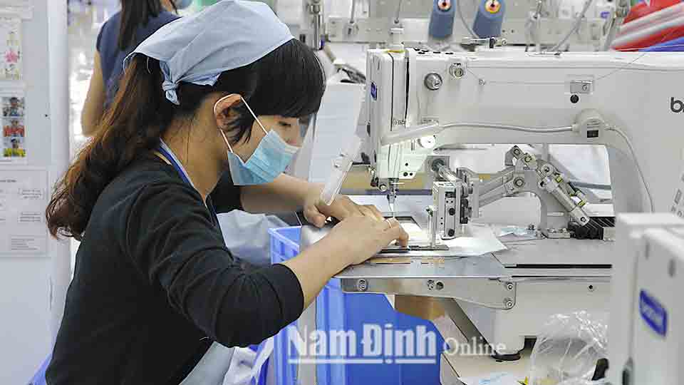 Sản xuất hàng may mặc xuất khẩu sang các nước châu Âu tại Công ty Trách nhiệm hữu hạn Pacmac Việt Nam, Khu công nghiệp Bảo Minh (Vụ Bản).