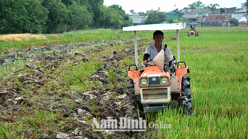 Nông dân xã Trung Thành (Vụ Bản) làm đất chuẩn bị cho sản xuất vụ xuân năm 2020.