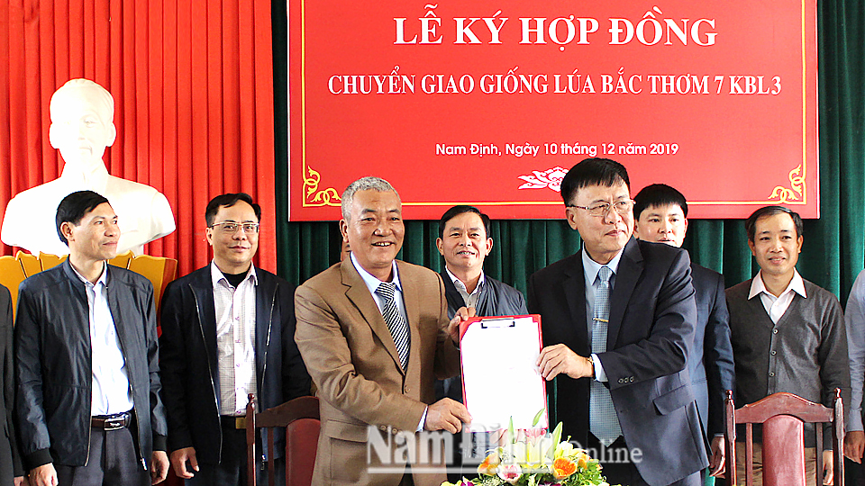 Công ty Cổ phần Giống cây trồng Nam Định ký hợp đồng chuyển giao giống lúa Bắc thơm 7 KBL3 với Viện Cây lương thực và Cây thực phẩm (Viện Khoa học Việt Nam) để tổ chức sản xuất trong vụ xuân năm 2020.