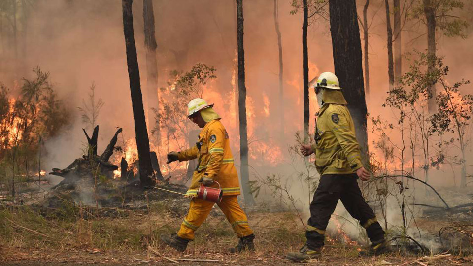 Lính cứu hỏa trong đám cháy rừng ở bang New South Wales (Australia) hôm 1-1.  Ảnh: AFP