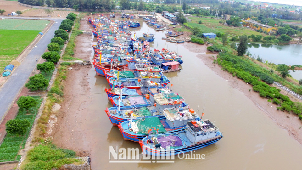 Cảng cá Ninh Cơ, thị trấn Thịnh Long (Hải Hậu).