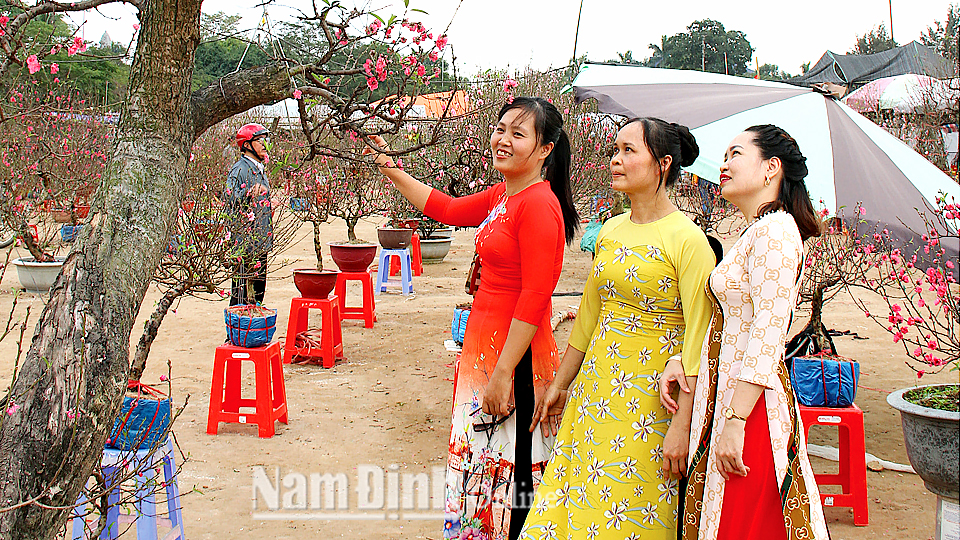 Chợ hoa Xuân thành phố Nam Định. Ảnh: Văn trọng