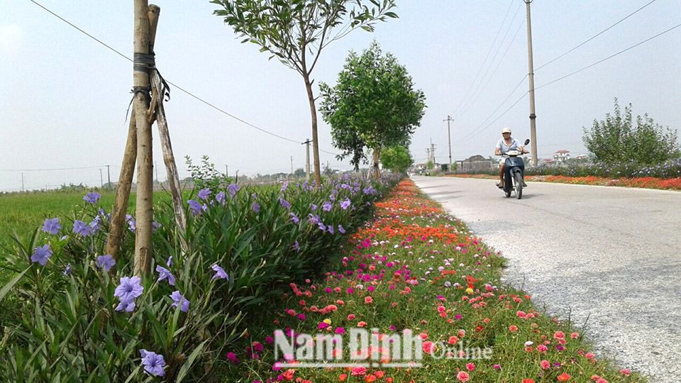 Tuyến đường hoa của chi Hội Phụ nữ thôn Tây Đầm, xã Nam Dương.   Bài và ảnh: Lam Hồng