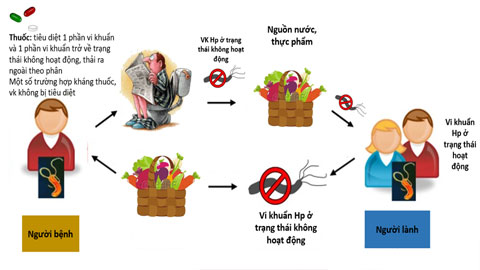 Con đường lây nhiễm chính của vi khuẩn HP (ảnh minh hoạ)