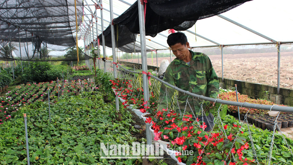 Mô hình trồng hoa, cây cảnh công nghệ cao của ông Khổng Quang Quân, thôn Lang Xá, xã Mỹ Tiến.