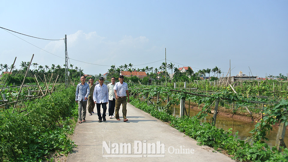 Nông dân xã Hải Nam tham quan vùng sản xuất nông nghiệp hàng hóa chất lượng cao.  Bài và ảnh: Thanh Thúy
