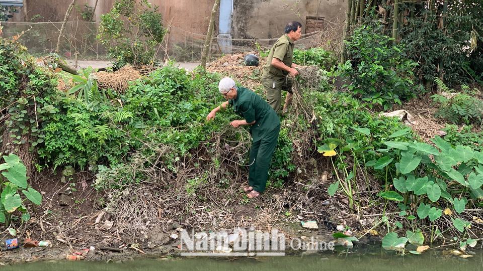 Hội viên chi Hội Cựu chiến binh thôn 7, xã Yên Lộc (Ý Yên) phát quang cây cối trên sông C31 chảy qua địa bàn.
