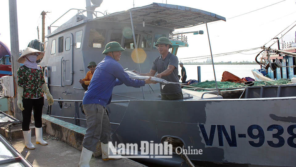 Ngư dân huyện Hải Hậu chấp hành nghiêm việc đăng ký, đăng kiểm, sơn kẻ tàu cá theo quy định.