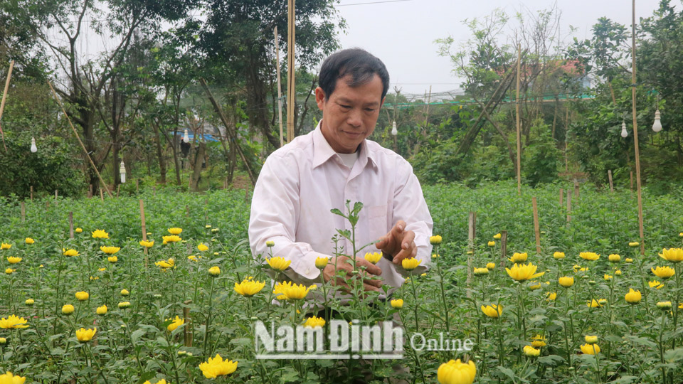 Ông Đỗ Thanh Trường, tổ dân phố 4B, thị trấn Cồn chăm sóc vườn hoa.