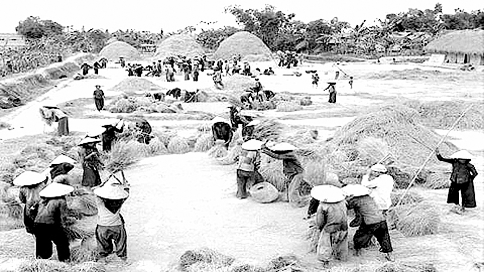 Ngày mùa trên sân kho HTX nông nghiệp ở huyện Nghĩa Hưng trong những năm kháng chiến chống Mỹ cứu nước. Ảnh: Tư liệu