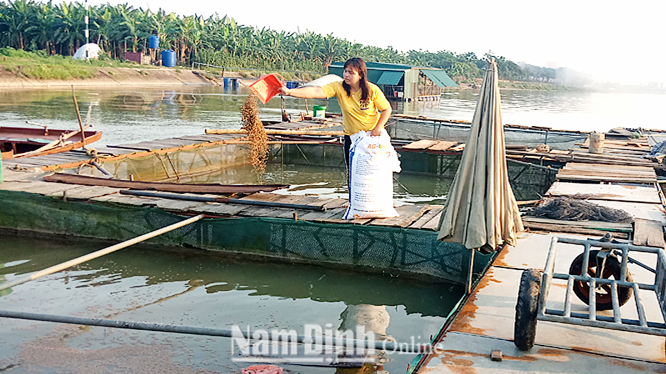 Từ nguồn vốn vay của Quỹ TYM, chị Nguyễn Thị Huệ, xã Giao Long đã phát triển nuôi thủy sản mang lại hiệu quả kinh tế cao. Ảnh: Do cơ sở cung cấp