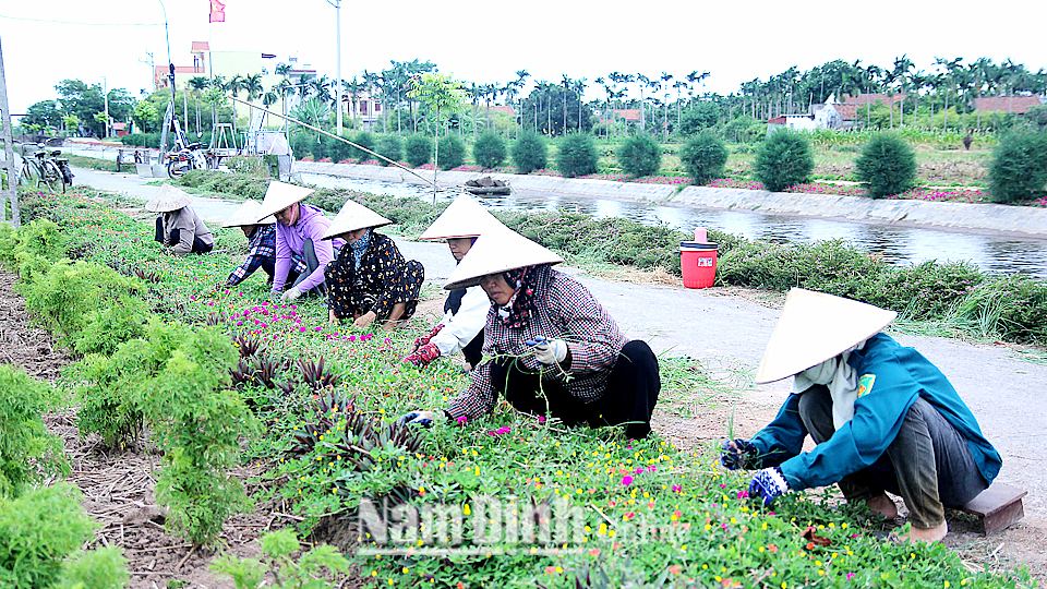 Phụ nữ xã Hải Châu chăm sóc tuyến đường hoa.