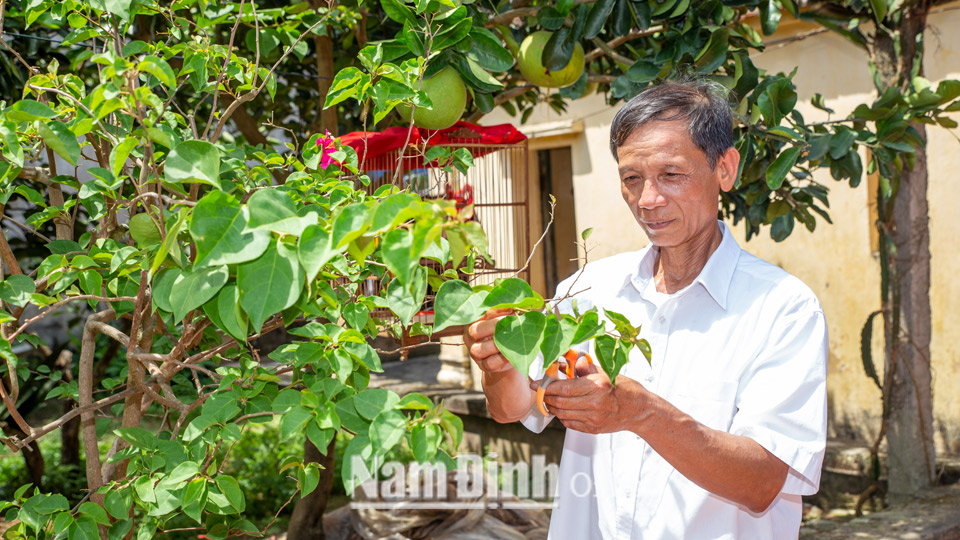 Nhờ nỗ lực phát triển kinh tế ông Phạm Ngọc Mến, xóm Văn Thành, xã Trực Chính đã thoát nghèo bền vững.