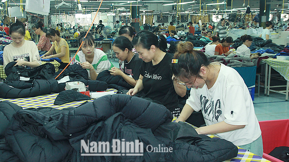 Sản xuất sản phẩm xuất khẩu tại Công ty TNHH LongYu Việt Nam, xã Tân Thịnh (Vụ Bản).
