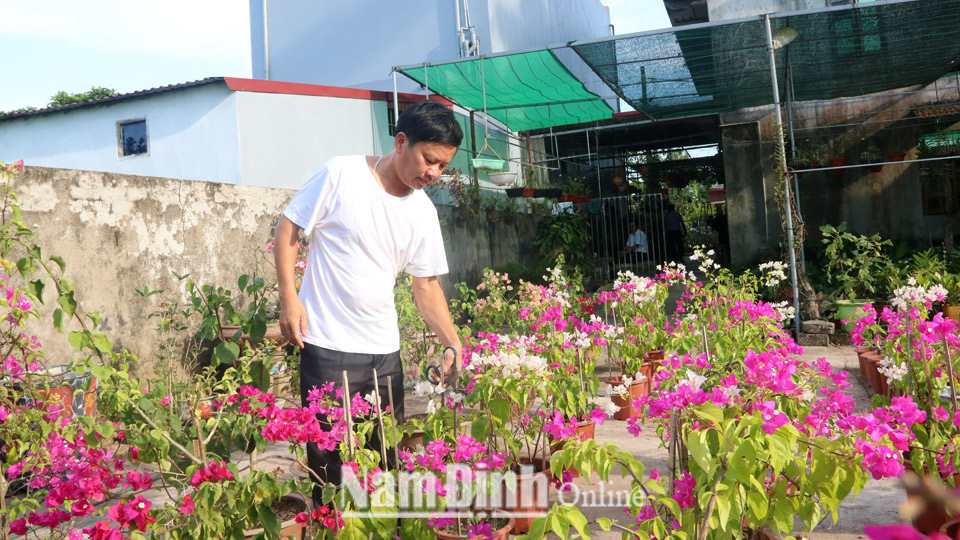 Ông Lại Cao Đường ở khu phố số 7, thị trấn Quỹ Nhất (Nghĩa Hưng) chăm sóc vườn hoa.
