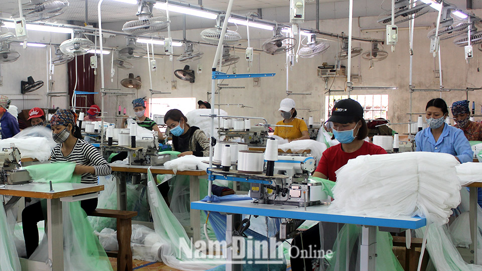 Nông dân xã Xuân Phú (Xuân Trường) tích cực phát triển ngành nghề để tăng thu nhập.