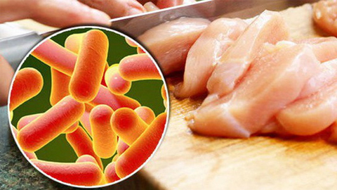 Nhiễm độc thức ăn xảy ra khi ăn phải thực phẩm nhiễm khuẩn Salmonella.