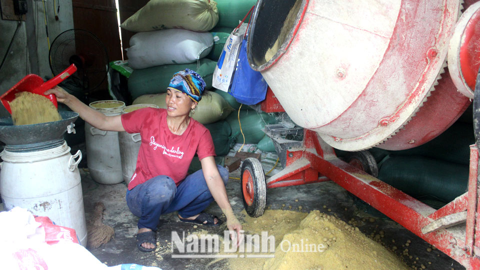 Nhiều hộ nông dân xã Yên Hưng tự chế biến thức ăn chăn nuôi theo quy trình an toàn, góp phần hạn chế dịch bệnh.