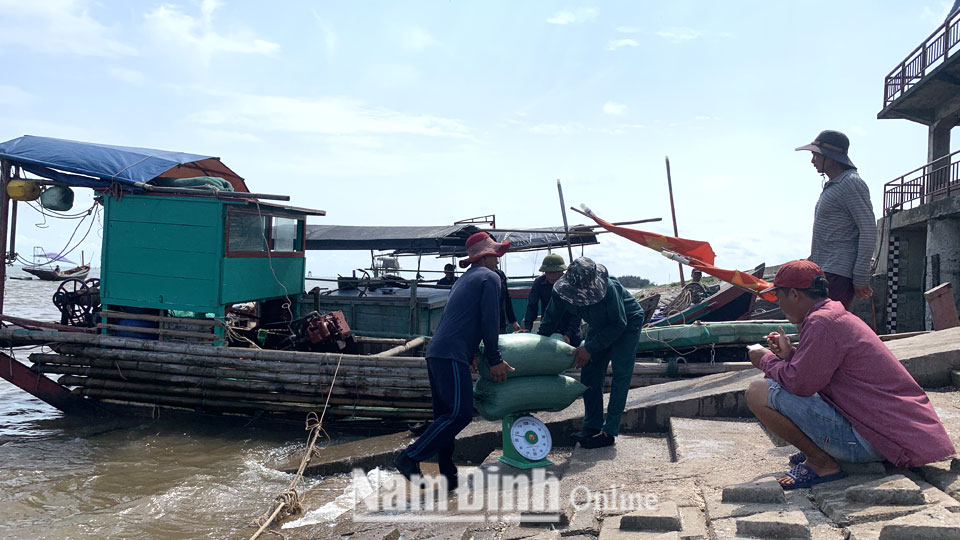 Thu mua hải sản khai thác của ngư dân tại Bến cá Giao Hải (Giao Thủy).