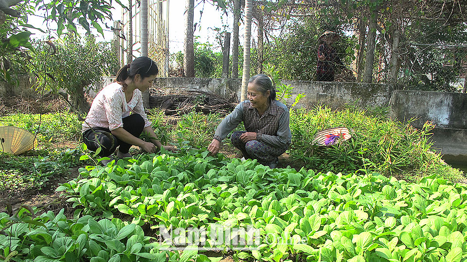 Cán bộ xóm 6, xã Hải Xuân (Hải Hậu) vận động người dân cải tạo vườn tạp tạo thêm thu nhập, làm đẹp cảnh quan.