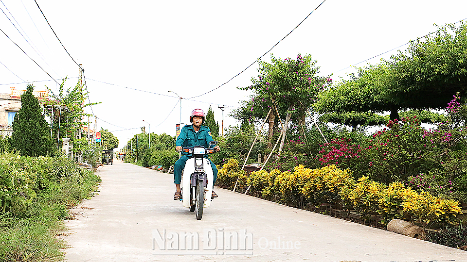 Đường giao thông xã Nam Thắng được bê tông hóa, trồng hoa, cây xanh tạo cảnh quan nông thôn xanh - sạch - đẹp.