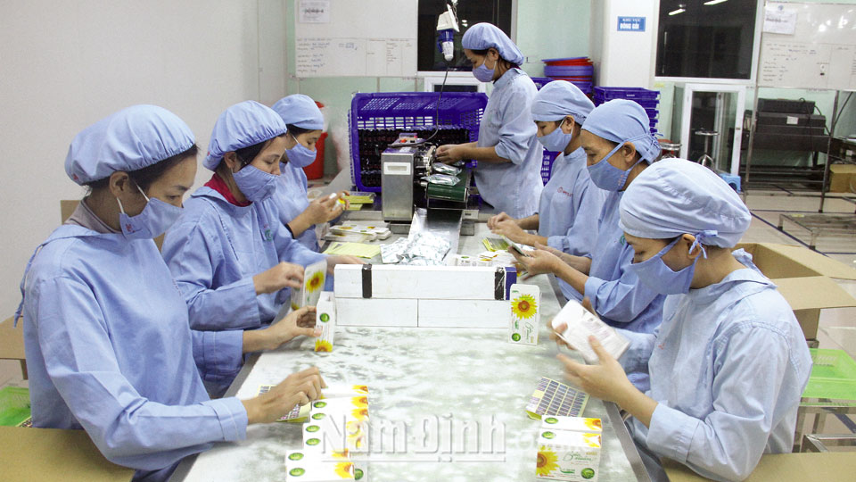 Sản xuất thực phẩm chức năng Bảo Xuân từ đề tài nghiên cứu chiết xuất mầm đậu nành tại Công ty TNHH Nam Dược do Sở KH và CN hỗ trợ triển khai.