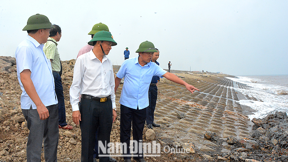 Đồng chí Nguyễn Phùng Hoan, Ủy viên Ban TVTU, Phó Chủ tịch UBND tỉnh kiểm tra công tác xử lý sự cố trên tuyến đê biển tại thị trấn Thịnh Long (Hải Hậu).