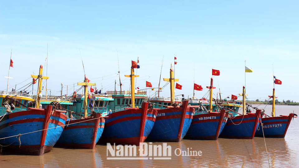 Tàu cá  neo đậu bến Ninh Cơ (Hải Hậu).