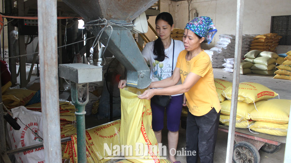 Mô hình thu mua, chế biến, tiêu thụ hàng nông sản của hội viên Nguyễn Hữu Trung, xã Tân Thành.