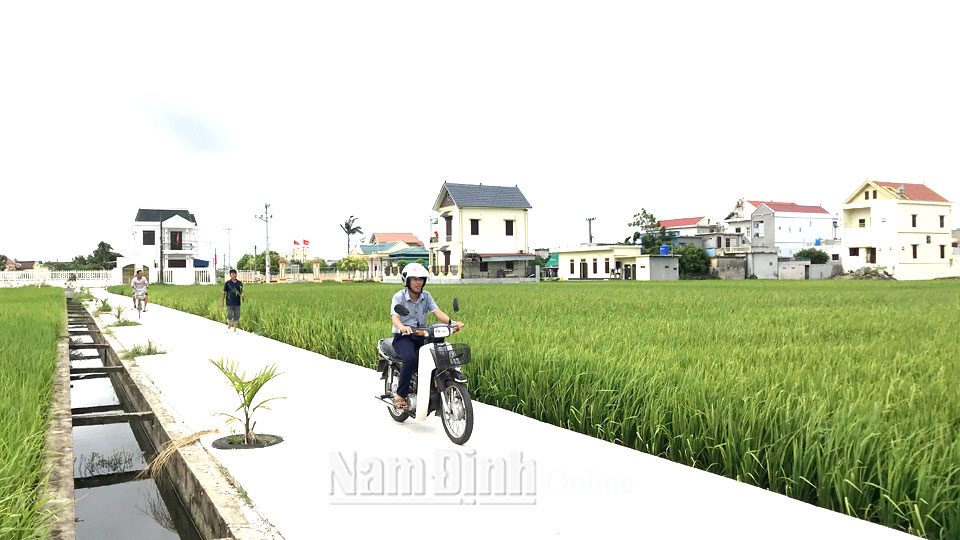 Giao thông nội đồng nông thôn mới xã Giao Phong (Giao Thủy) được bê tông hóa.