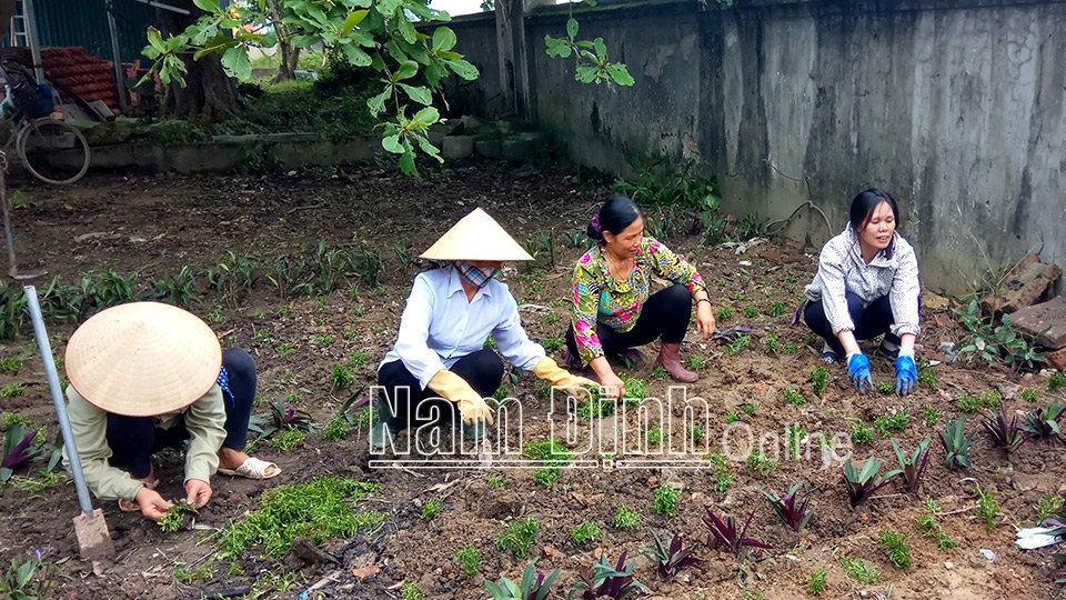 Hội viên phụ nữ huyện Mỹ Lộc tham gia trồng cây và hoa bảo vệ môi trường.