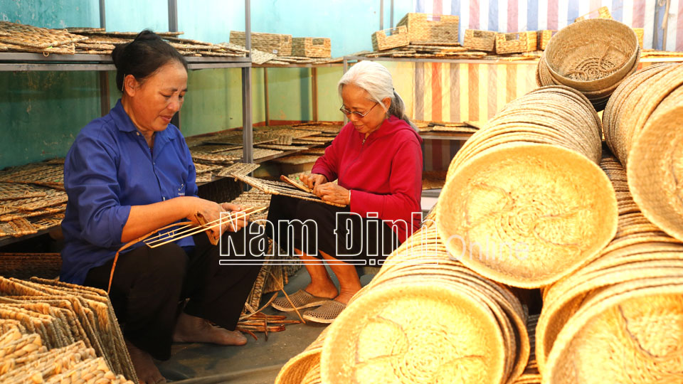 Nhờ học nghề đan cói, nhiều lao động ở xã Xuân Phú có thêm nguồn thu nhập ổn định.