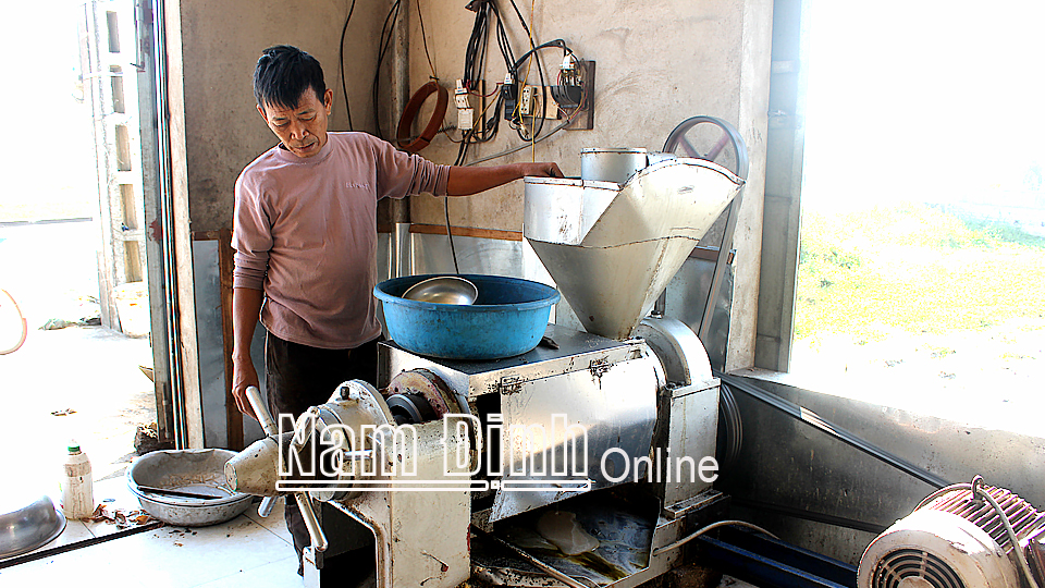 Sản xuất dầu lạc tại cơ sở Hiệu Hường, xã Yên Cường (Ý Yên).