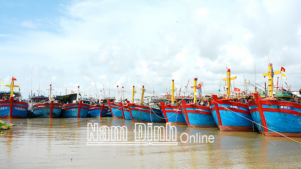 Cảng cá Ninh Cơ vừa được Bộ NN và PTNT công bố đạt chuẩn cảng cá loại I.