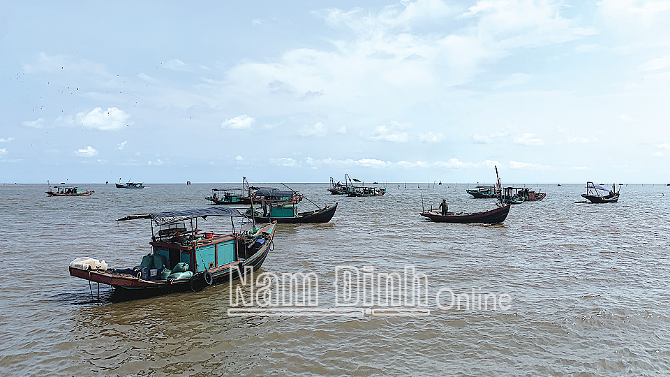 Tàu thuyền khai thác hải sản cập bến cá Giao Hải, huyện Giao Thủy 