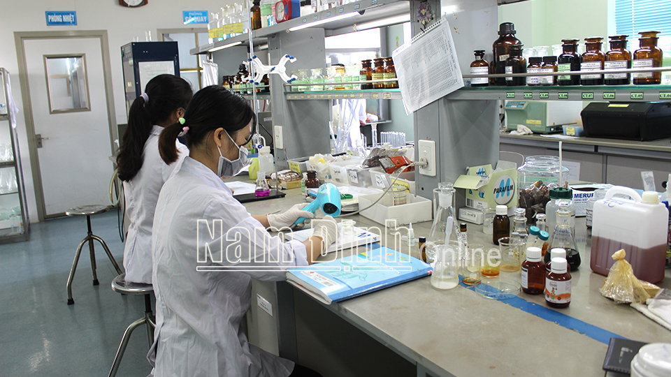Công ty TNHH Nam Dược (thành phố Nam Định) kiểm nghiệm chất lượng thuốc trước khi xuất bán ra thị trường.