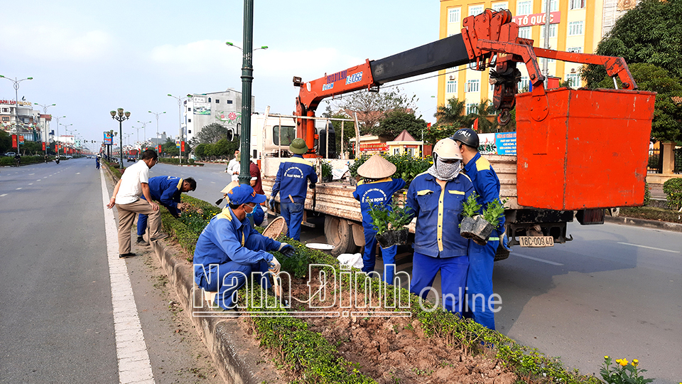 Công nhân Công ty Cổ phần Công trình đô thị Nam Định trồng hoa trang trí dải phân cách trên đường Võ Nguyên Giáp.  Bài và ảnh: Thành Trung