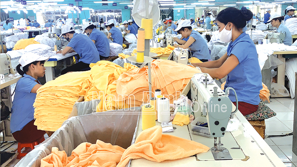 Sản xuất khăn xuất khẩu tại Công ty CP Dệt may Sơn Nam.