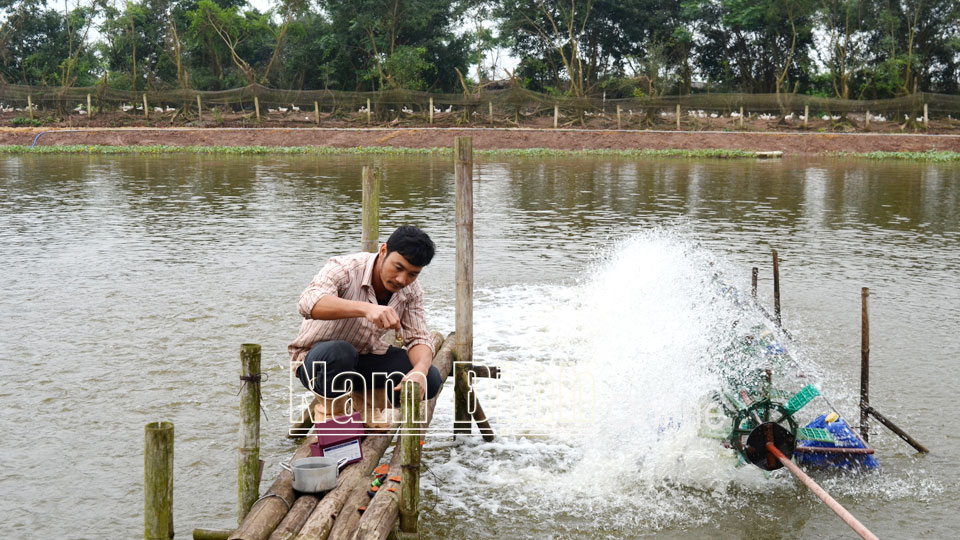 Kiểm tra chất lượng nước ao nuôi tôm thẻ chân trắng tại gia đình chị Nguyễn Thị Hiền ở xóm 8, xã Nghĩa Thành (Nghĩa Hưng).